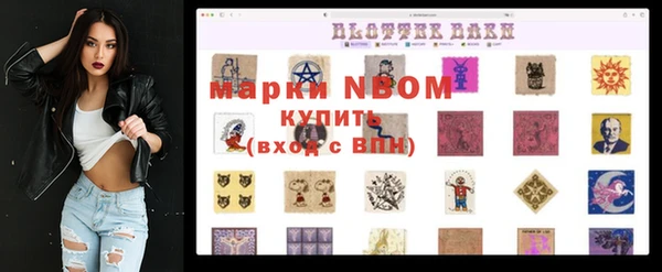 ALPHA PVP Елизово