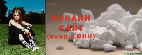 молекула духа Елабуга
