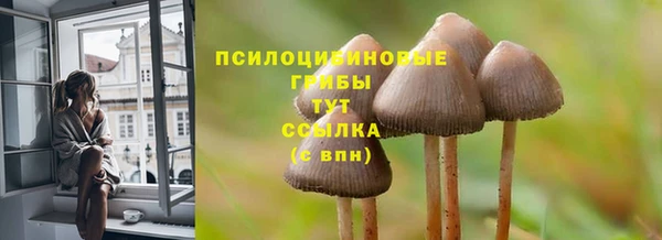 мдма Ельня
