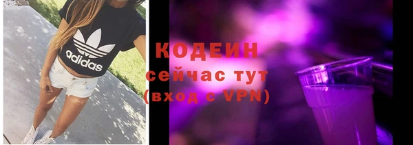 молекула духа Елабуга