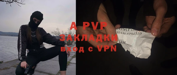 молекула духа Елабуга