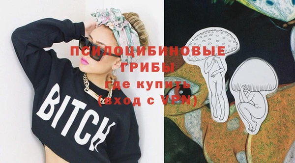 мдма Ельня