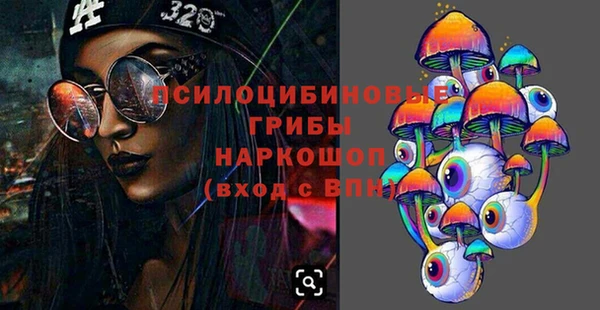 молекула духа Елабуга