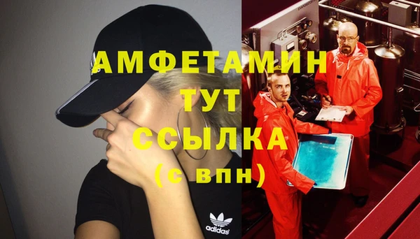 ALPHA PVP Елизово