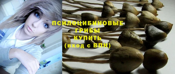 мдма Ельня