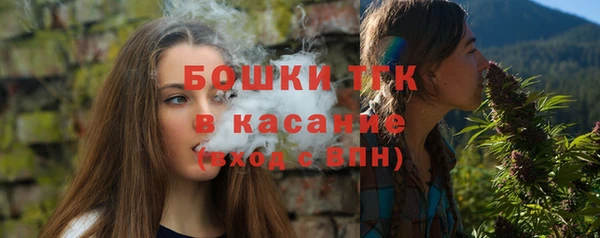 молекула духа Елабуга
