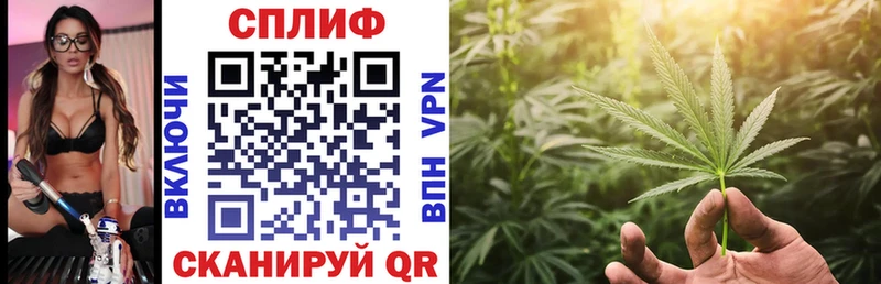 Конопля планчик  MEGA маркетплейс  Северобайкальск 